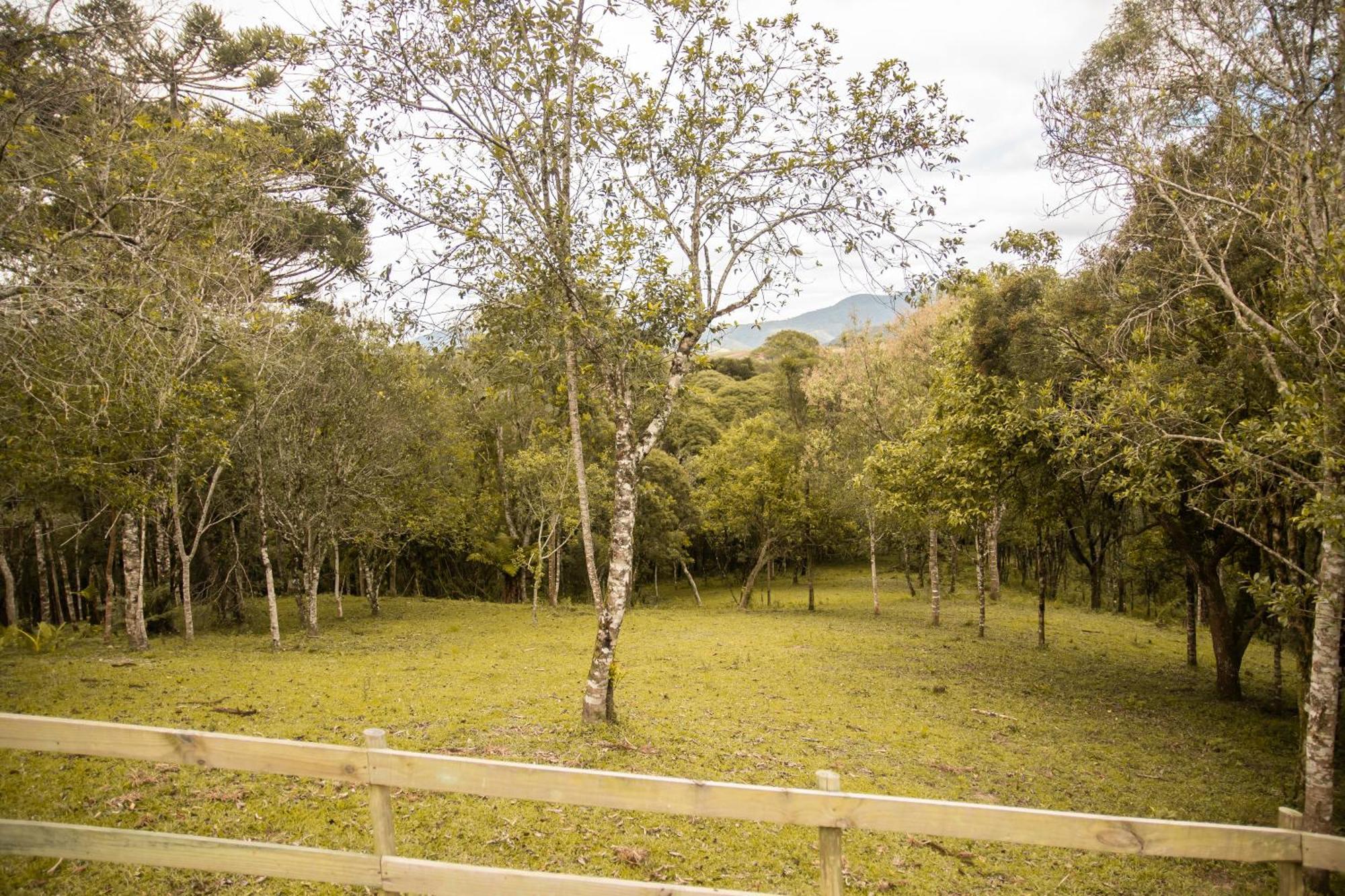 Cabana Com Hidromassagem Bom Retiro (Santa Catarina) Exterior foto